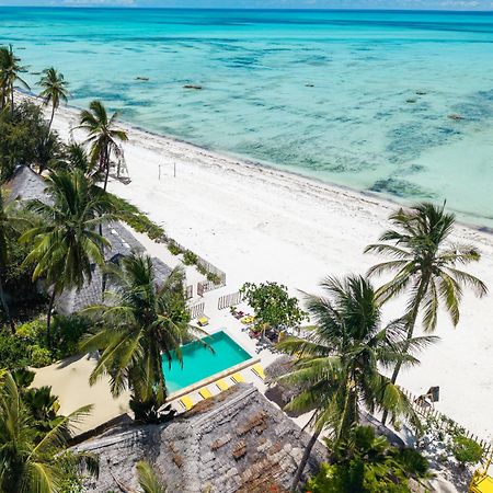 Pili Pili Palm Beach Jambiani  Kültér fotó