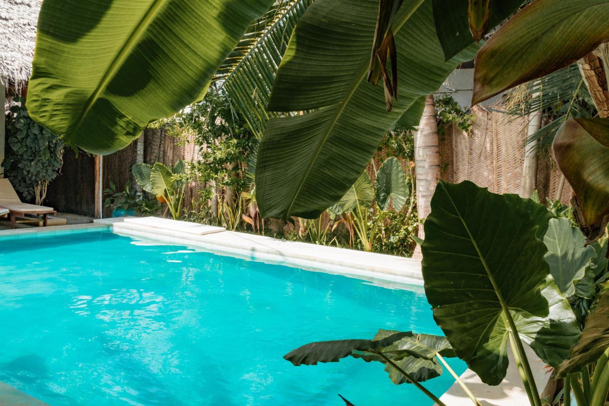 Pili Pili Palm Beach Jambiani  Kültér fotó