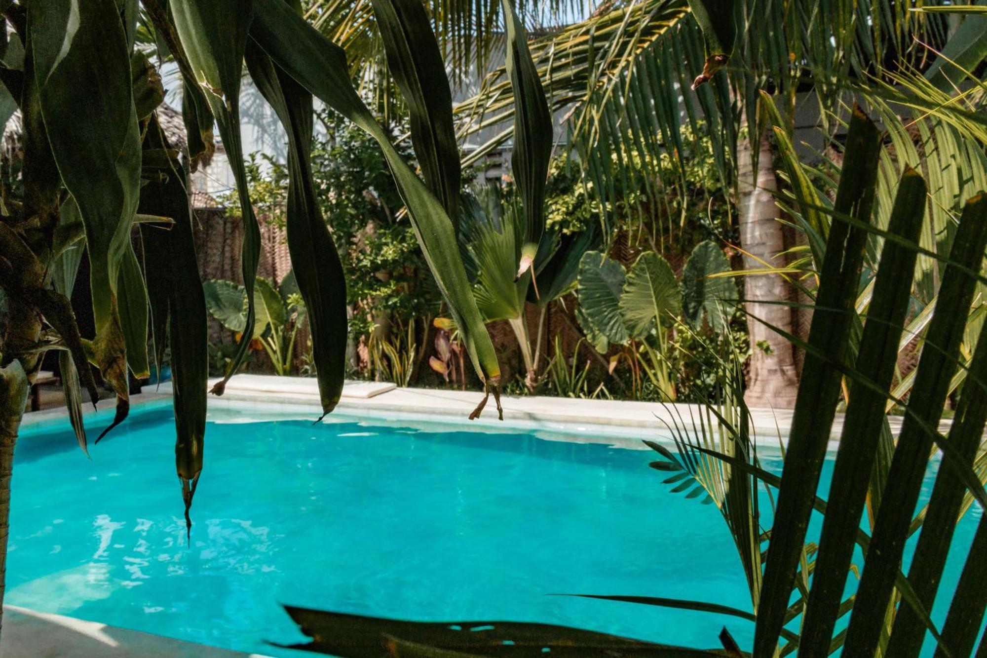 Pili Pili Palm Beach Jambiani  Kültér fotó
