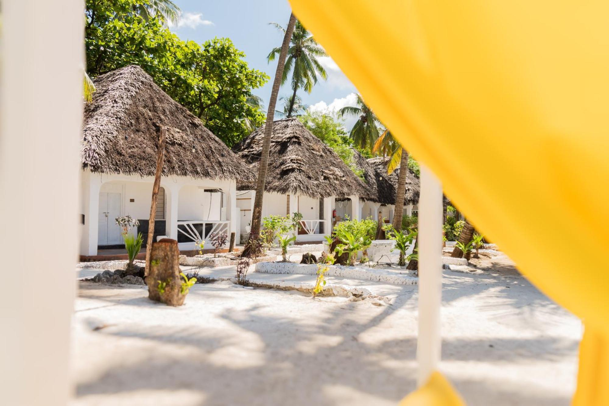 Pili Pili Palm Beach Jambiani  Kültér fotó