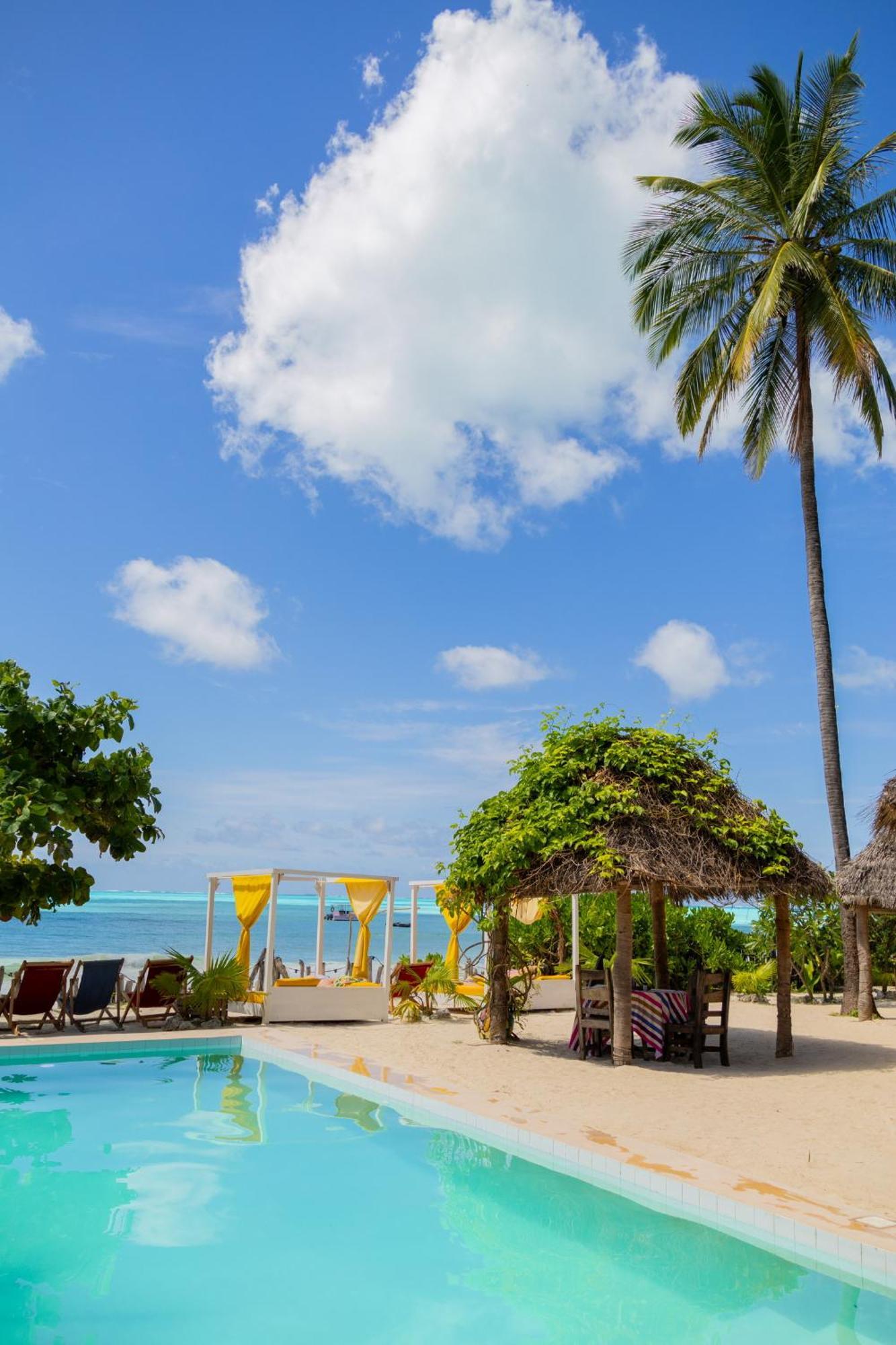 Pili Pili Palm Beach Jambiani  Kültér fotó