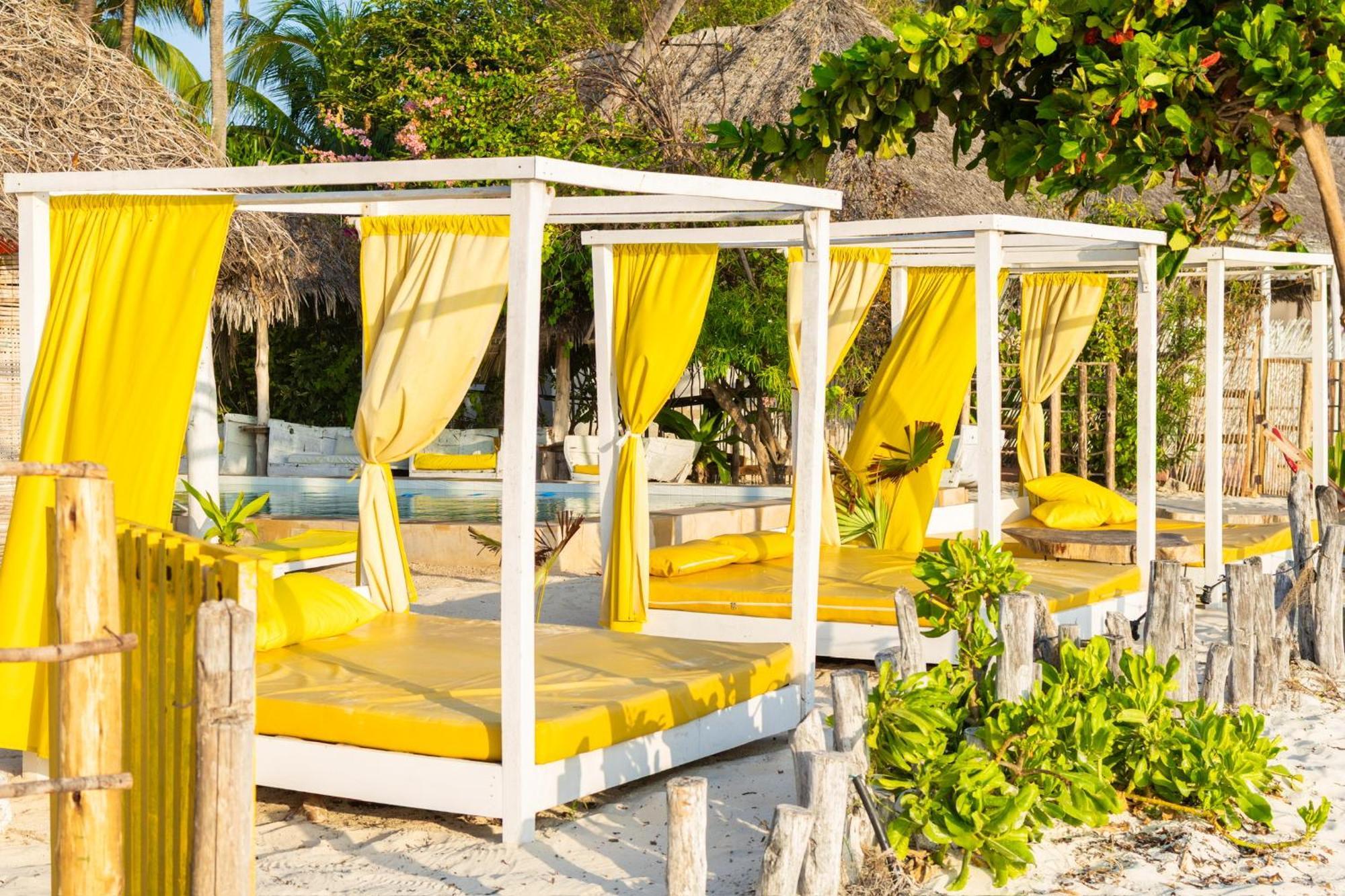 Pili Pili Palm Beach Jambiani  Kültér fotó